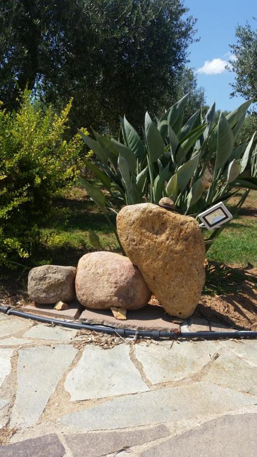 Da Patrizia Bed & Breakfast Alghero Dış mekan fotoğraf